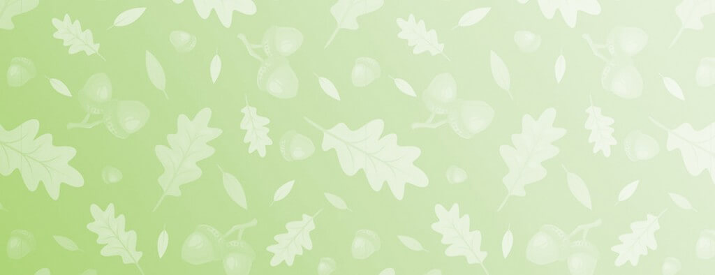 Banner Zahnarztpraxis Eichenlaub